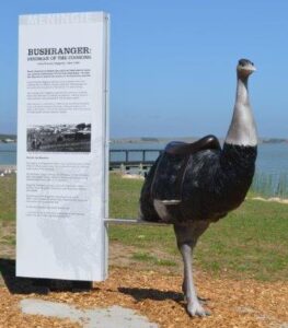 The Birdman of The Coorong