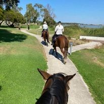 Meningie Riding Club