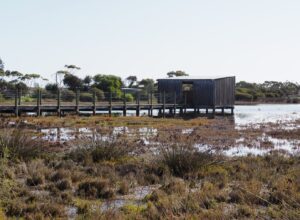 Bird’s Eye View Birdhide