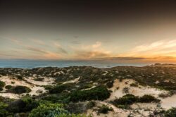 Coorong Wildside Tours