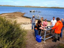 Coorong Wildside Tours